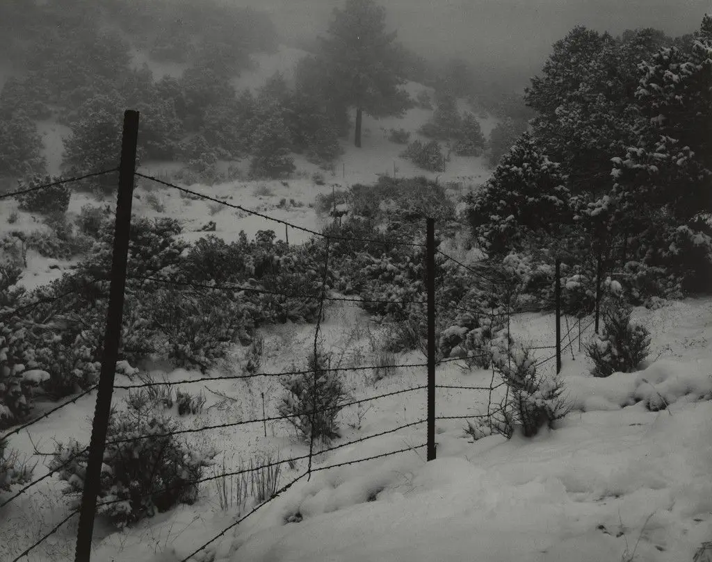 Fence, Snow, Santa Fe, New Mexico by William Clift
