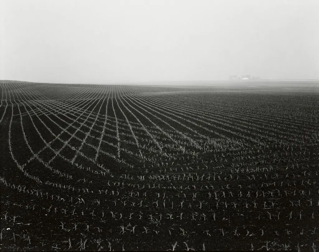 Untitled by Rhondal McKinney