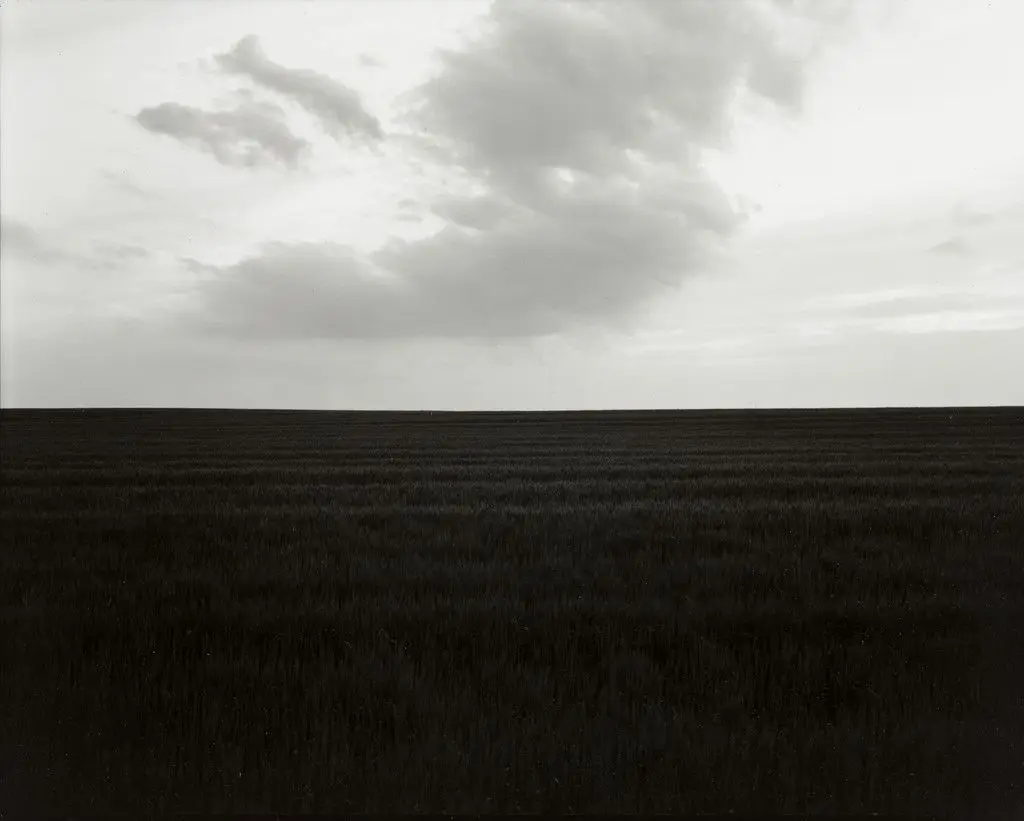 Untitled by Rhondal McKinney