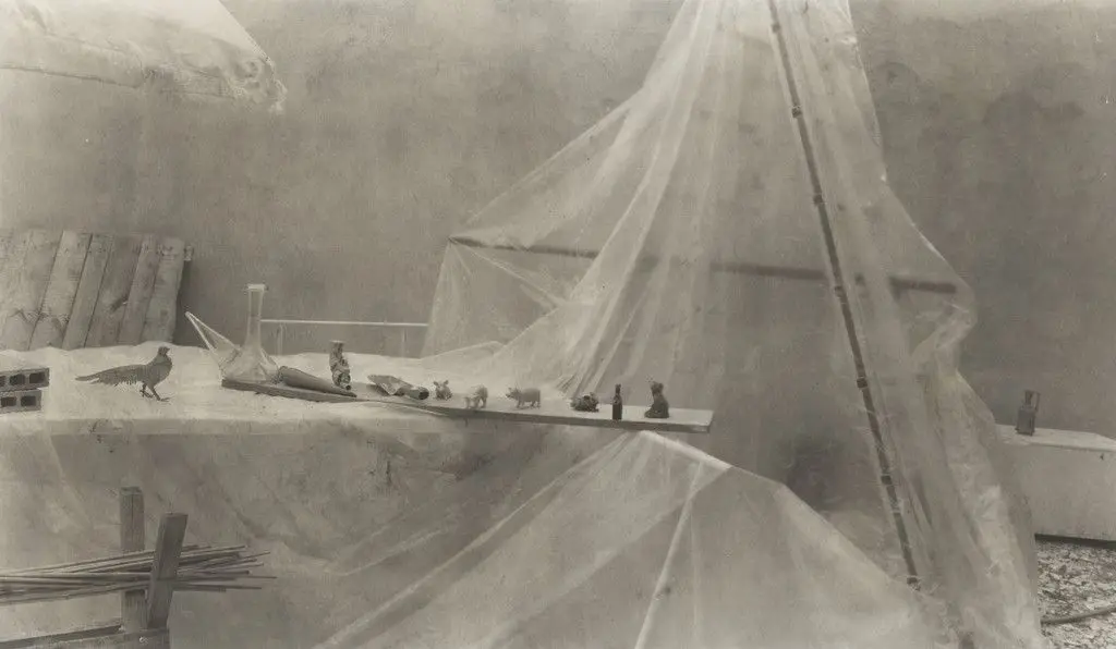 Untitled by Jan Groover