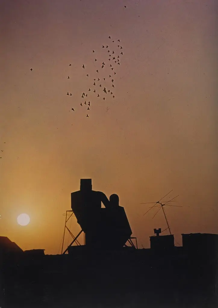 New York by Ernst Haas