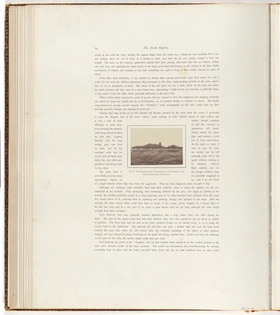 "Instantaneous view of polar bears in the distance, taken while running overthe ice floe." by George P. Critcherson, John L. Dunmore, William Bradford