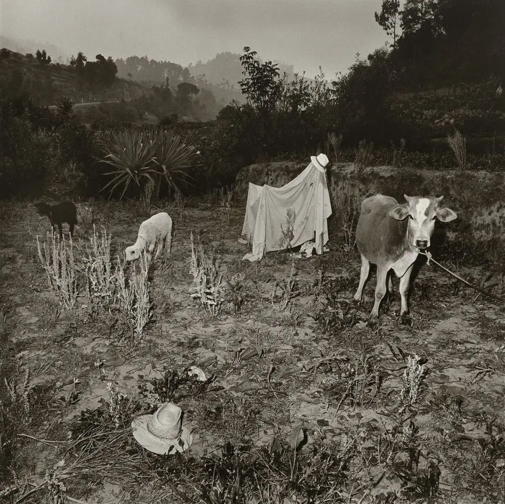 Untitled, Guatemala by Rosalind Fox Solomon