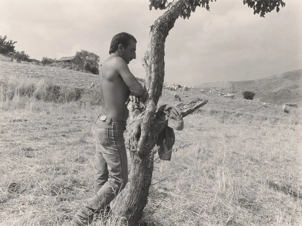 Shepard Leaning on Tree, Sicily by Thomas Roma