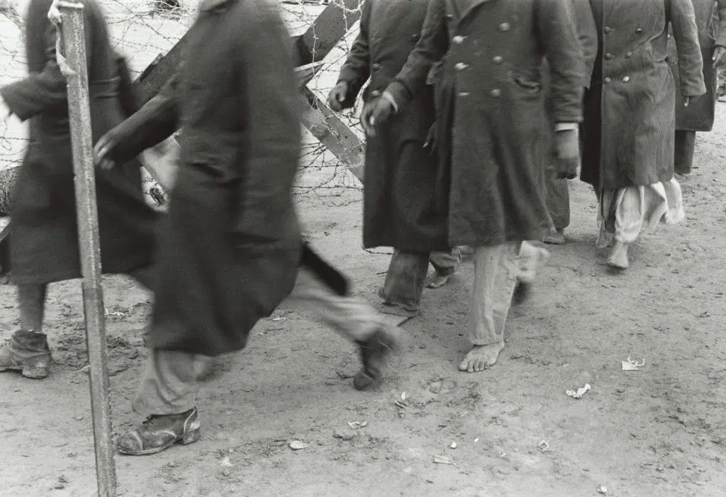 Egyptian Prisoners of War, Sinai Campaign by Micha Bar-Am