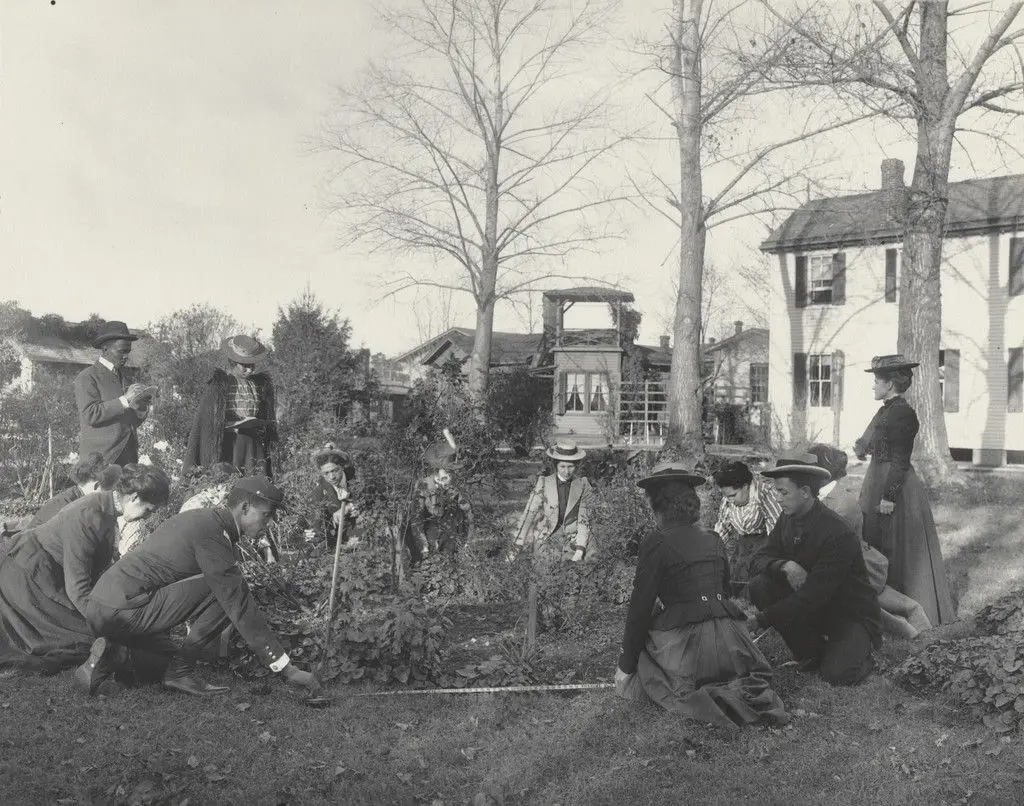 Arithmetic. Measuring circles by Frances Benjamin Johnston