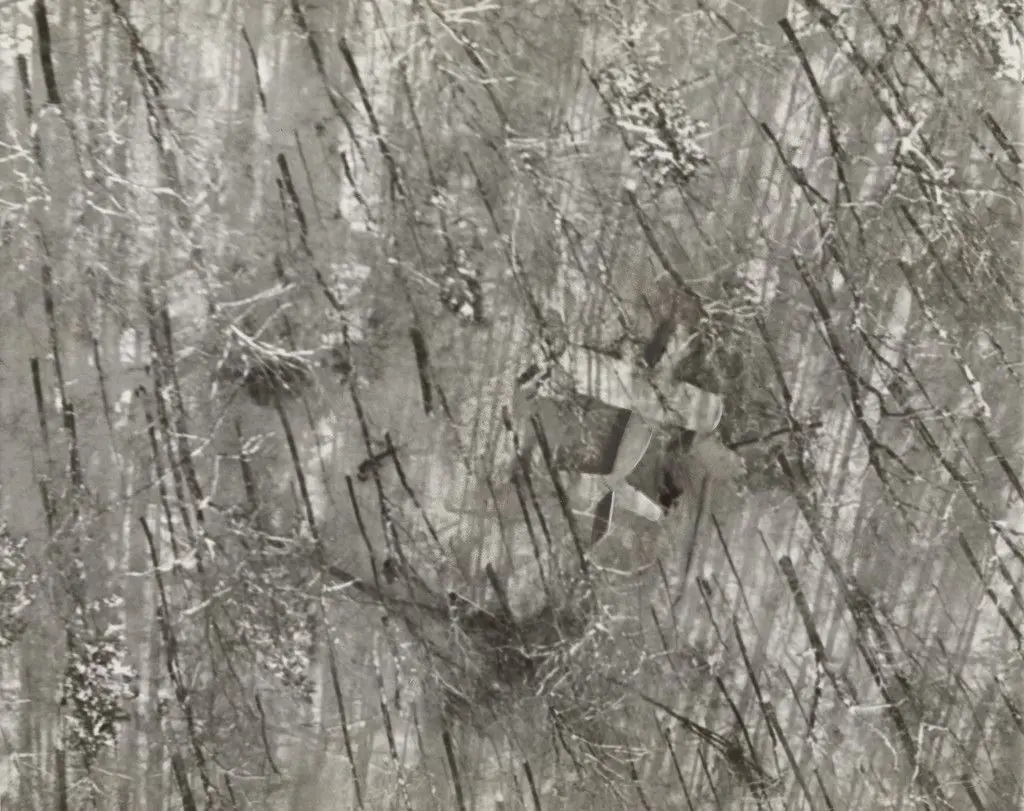 "An Unhappy Landing High on a Mountain Side in the Snow-Blanketed Adirondacks" by Associated Press