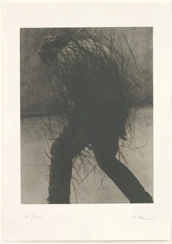 Crooked Departure (Krummer Abgang) by Arnulf Rainer