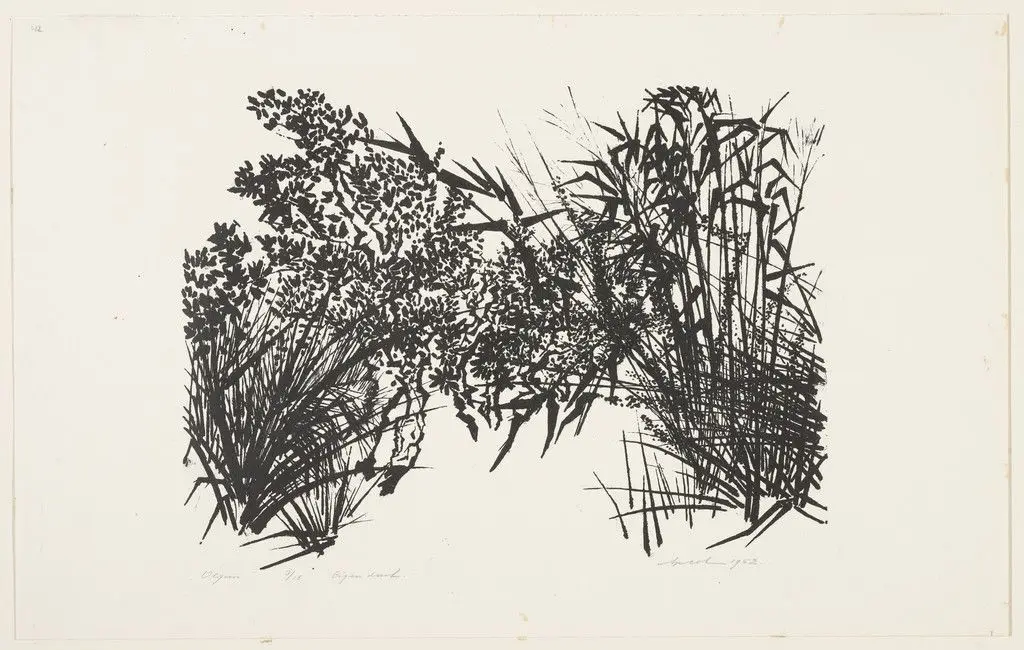 Olive Trees by Ap Sok