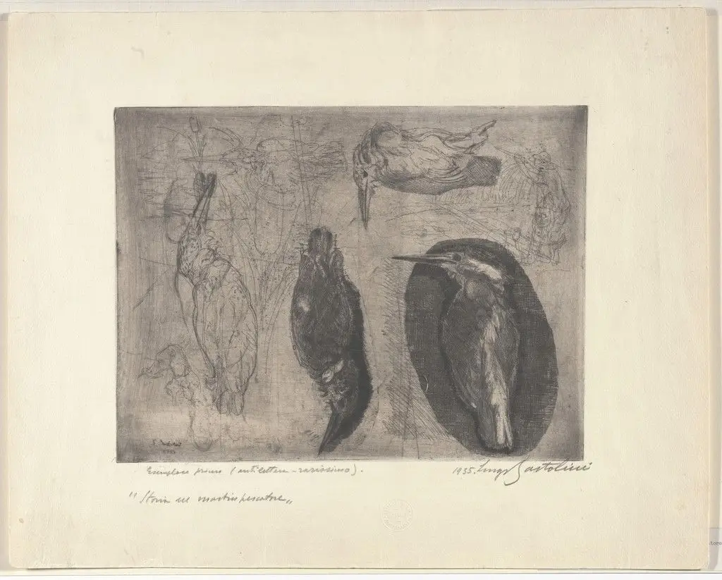 Story of the King Fisher (Storia del Martin Pescatore) by Luigi Bartolini