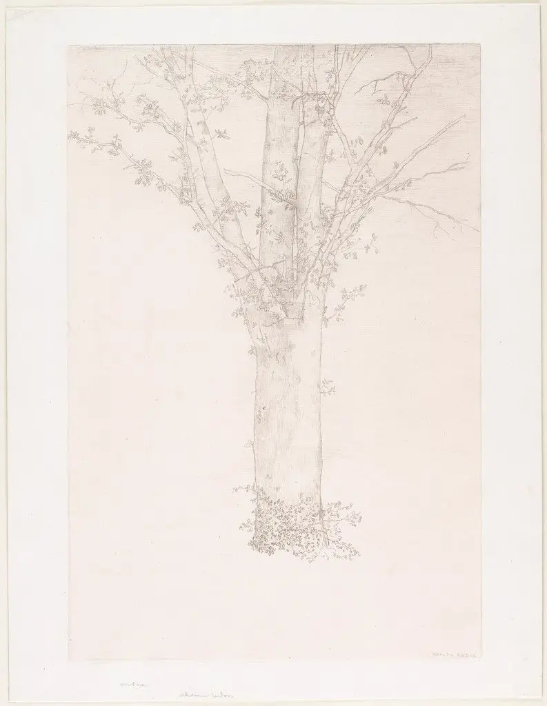 Tree (Arbre) by Odilon Redon