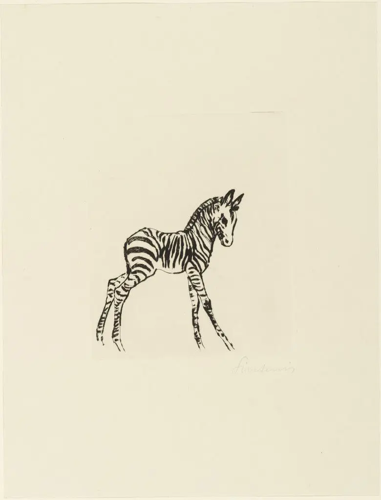 Young Zebra (Junges Zebra) by Renée Sintenis