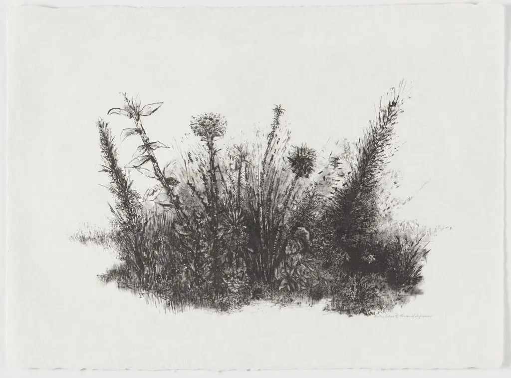 Garden by Aubrey Schwartz