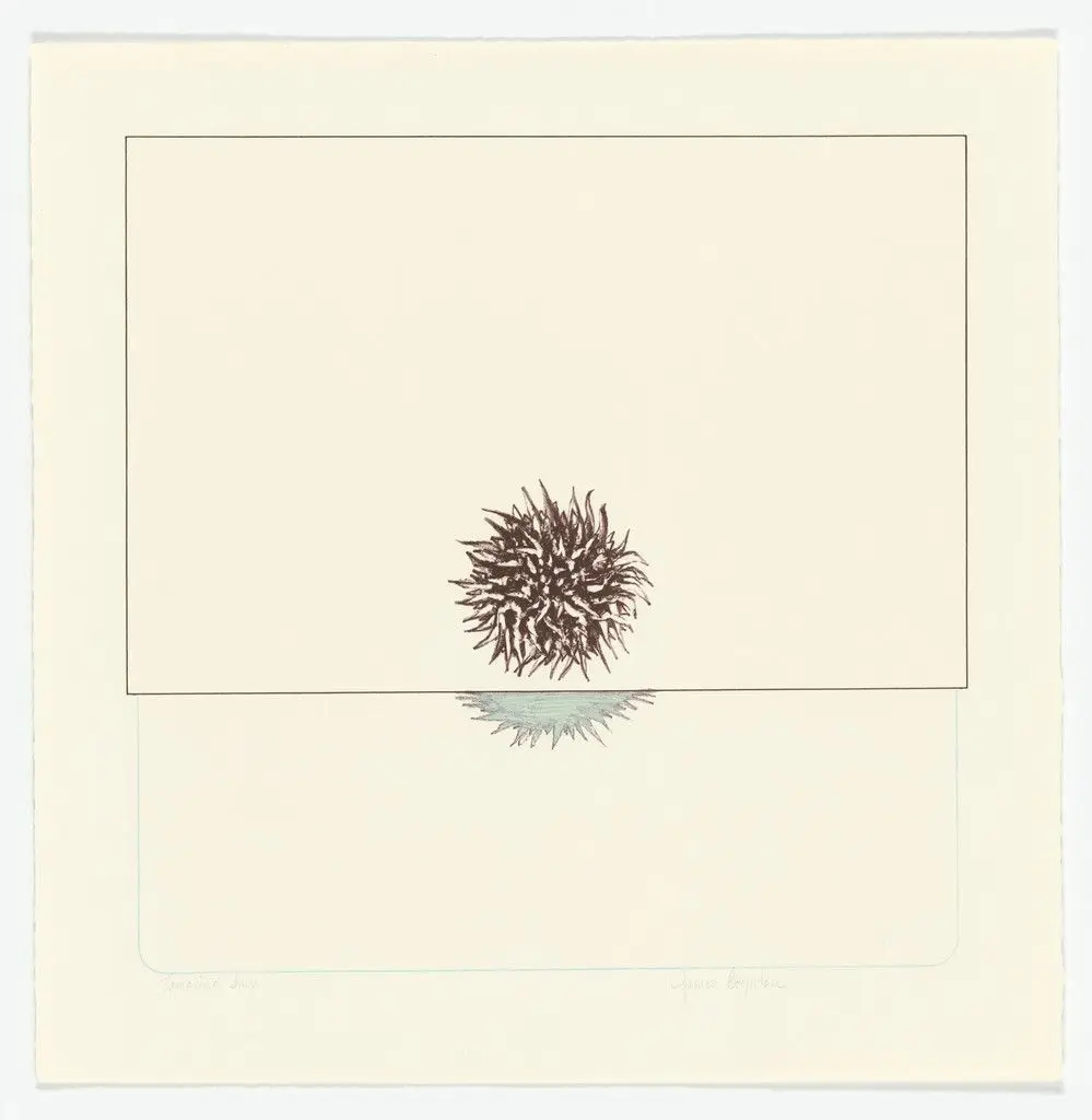 Genesis from the series Packaged Horizon by James Boynton