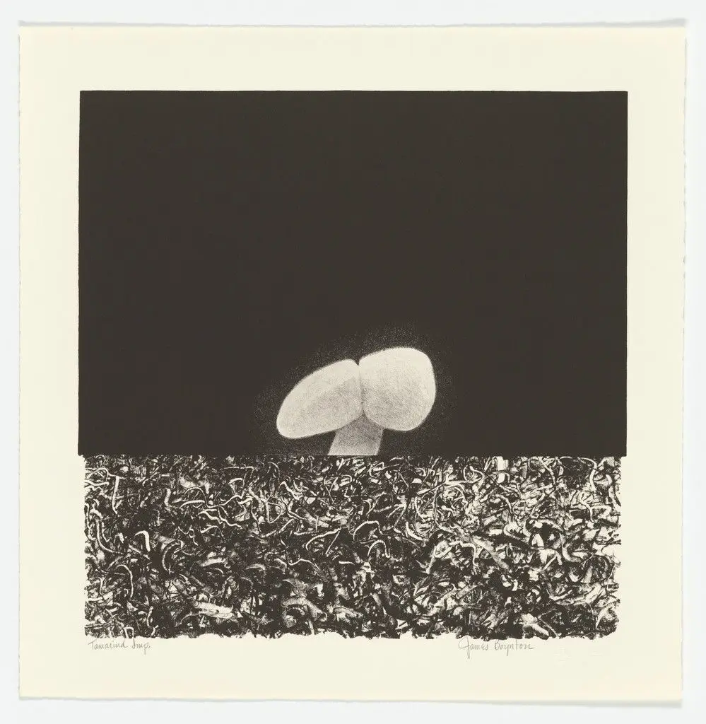 Adam from the series Packaged Horizon by James Boynton