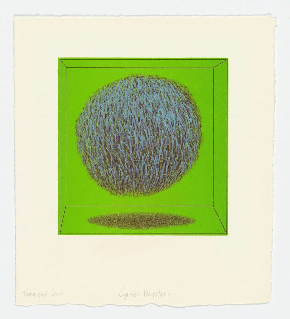 Ball from the series Pandorasville Revisited by James Boynton
