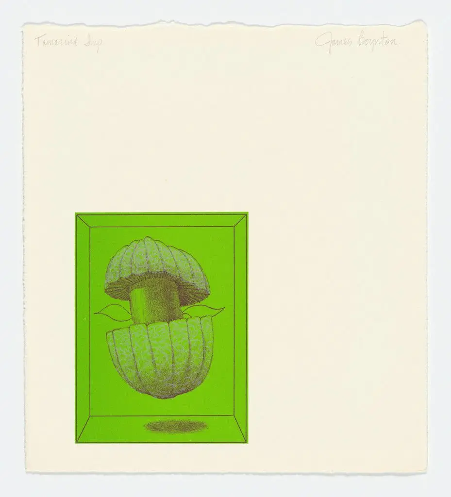 Coupled Mushrooms from the series Pandorasville Revisited by James Boynton