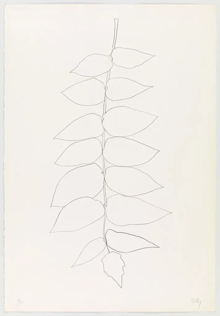 Ailanthus Leaves II (Vernis du Japon II) from Suite of Plant Lithographs by Ellsworth Kelly