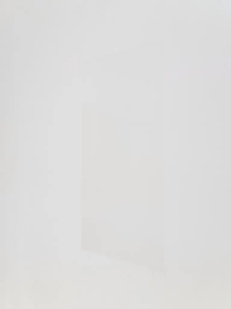 Wallpiece 24 x 18" by Karin Sander