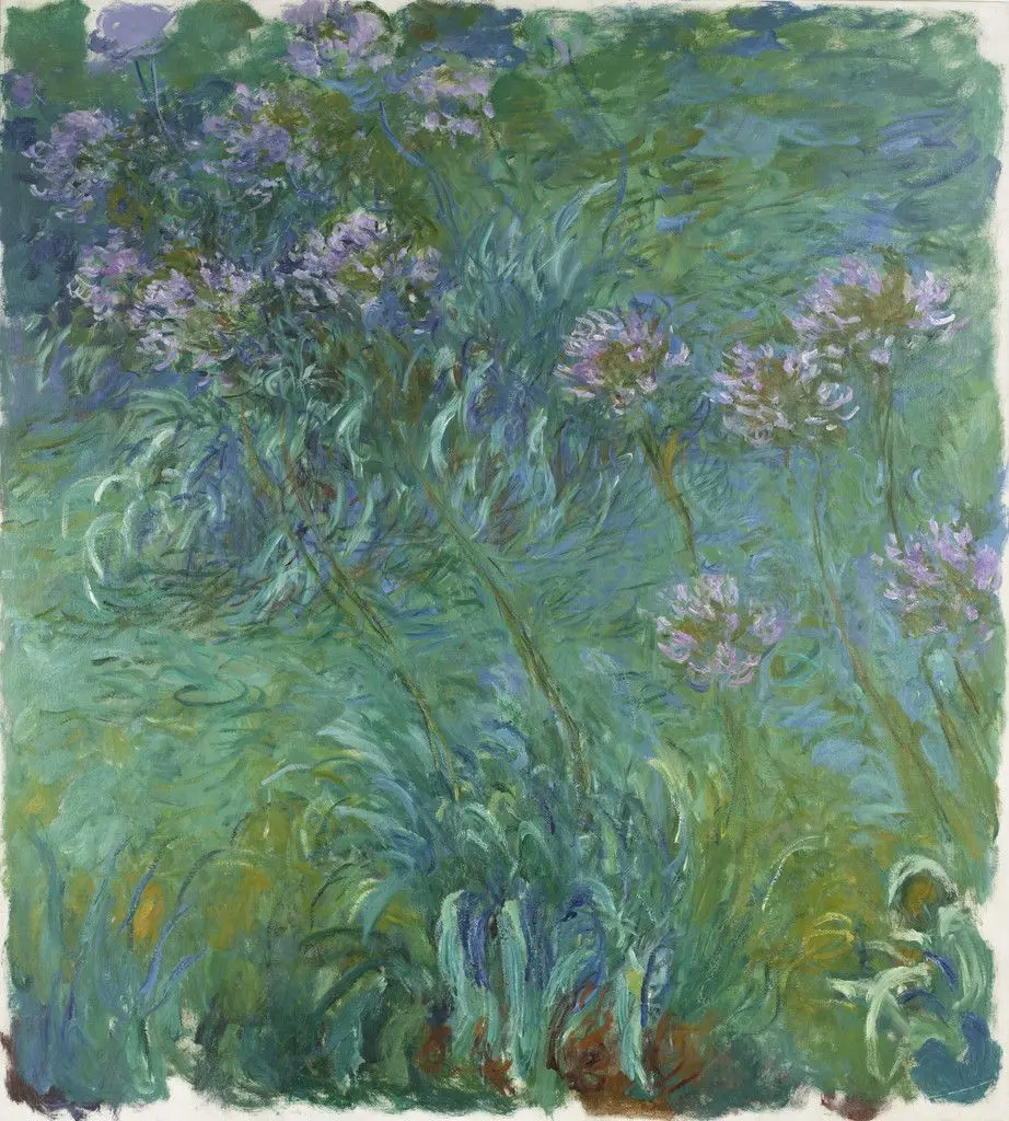 Agapanthus by Claude Monet