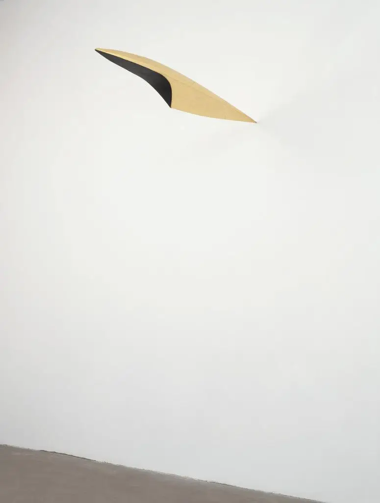 Night Landing by Bryan Hunt