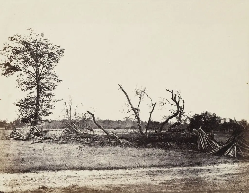 Extreme line of Confederate works, Cold Harbor, Virginia by Alexander Gardner