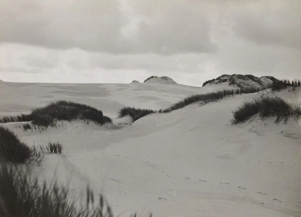 Dune in Salesk by Raoul Hausmann