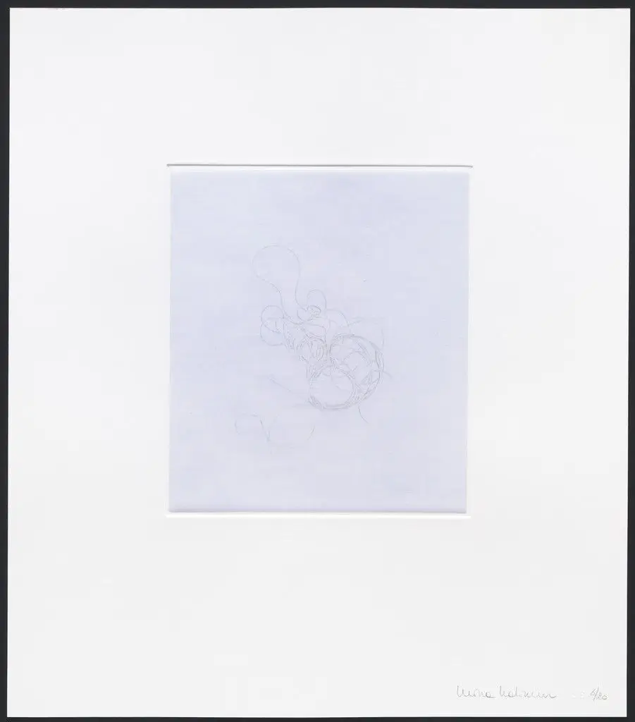 Untitled from hair there and everywhere by Mona Hatoum