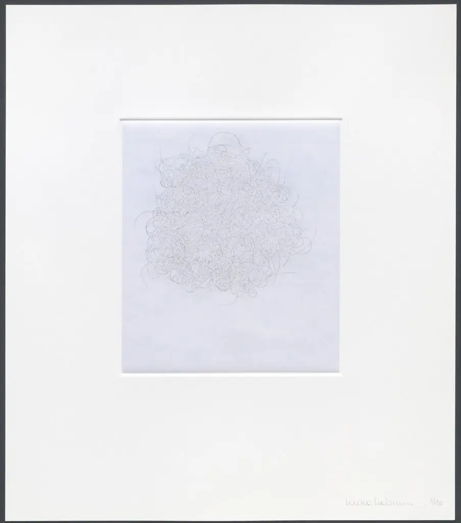 Untitled from hair there and every where by Mona Hatoum