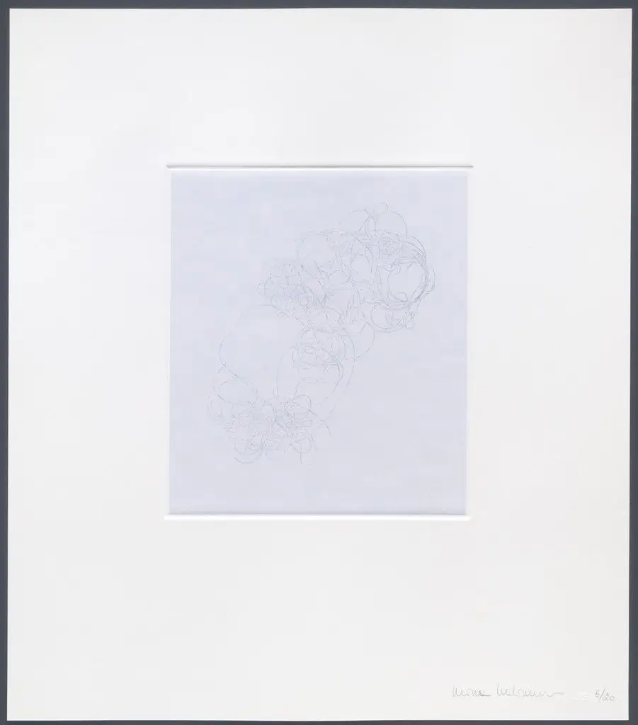 Untitled from hair there and everywhere by Mona Hatoum