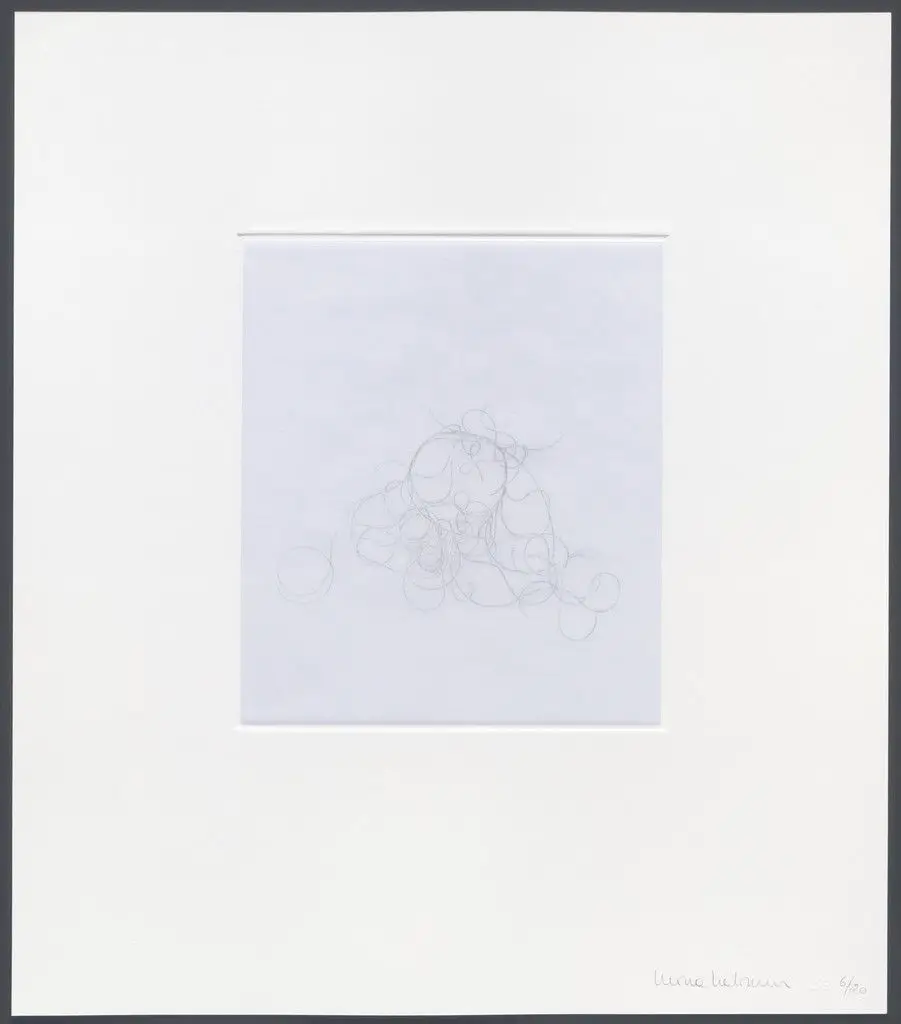 Untitled from hair there and everywhere by Mona Hatoum