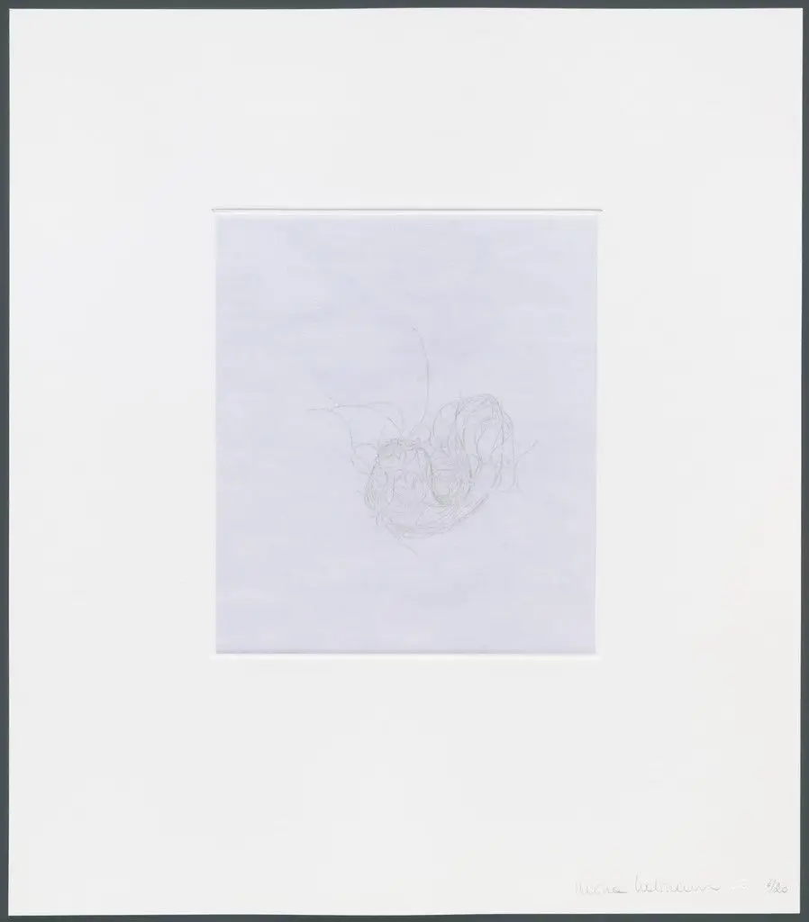 Untitled from hair there and everywhere by Mona Hatoum