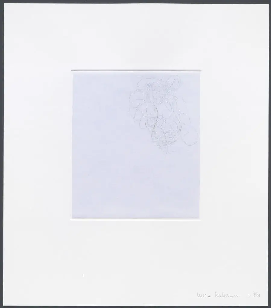 Untitled from hair there and everywhere by Mona Hatoum