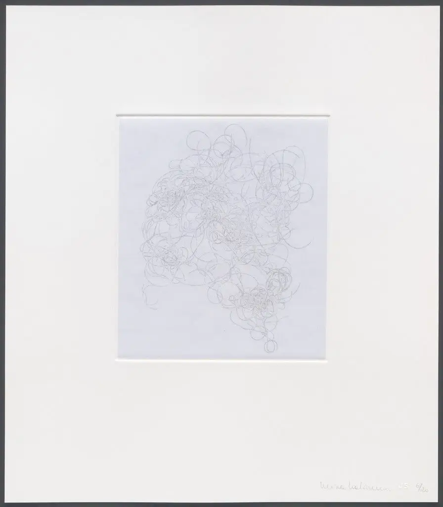 Untitled from hair there and every where by Mona Hatoum