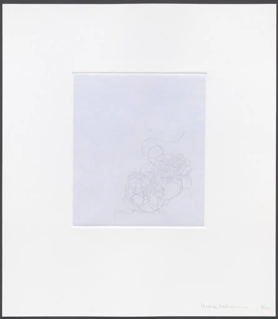 Untitled from hair there and everywhere by Mona Hatoum