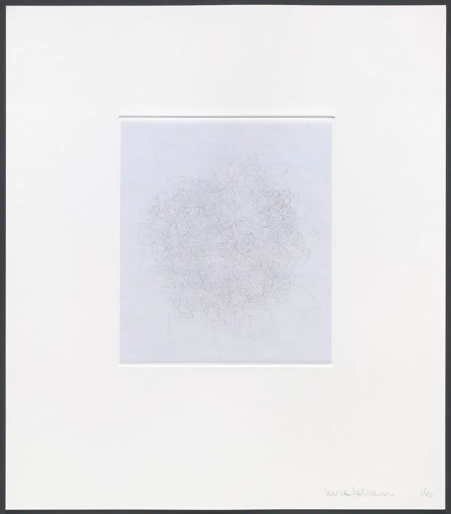 Untitled from hair there and every where by Mona Hatoum