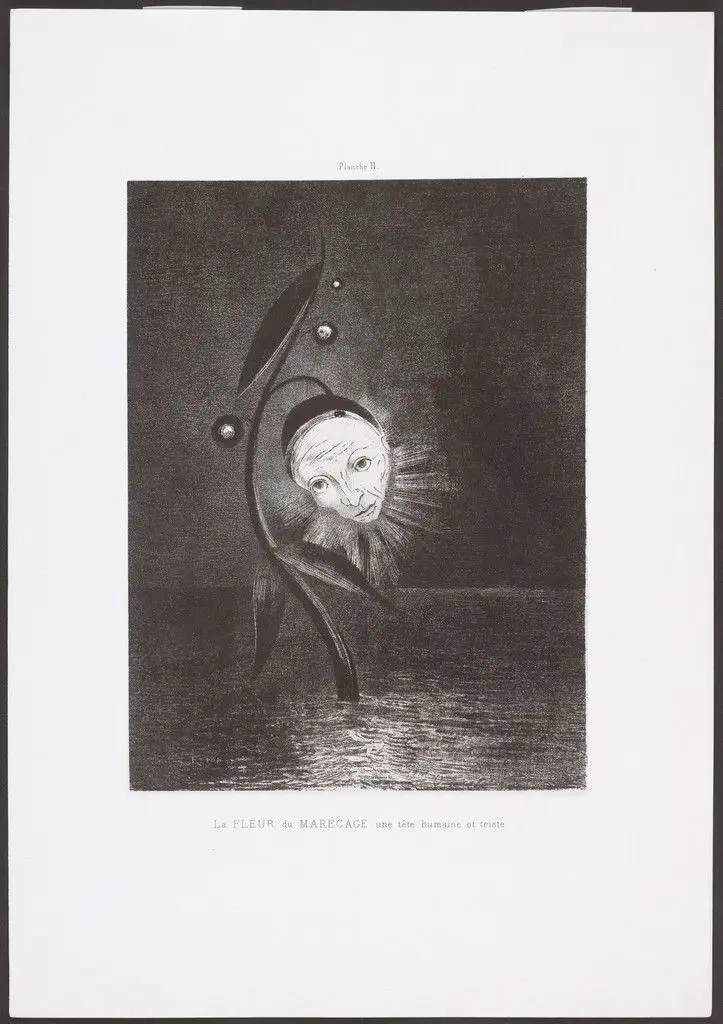 The Marsh Flower, a Sad Human Head (La Fleur du marécage, une tête humaine et triste) from Homage to Goya (Hommage à Goya) by Odilon Redon