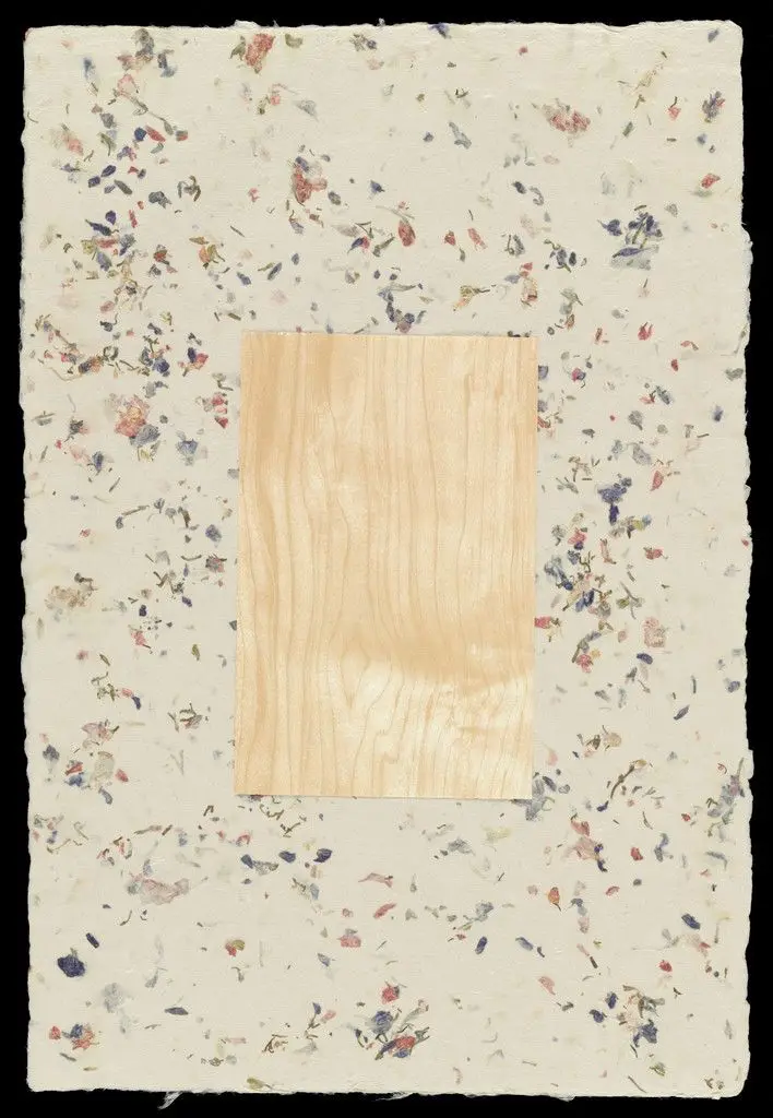 Nature Morte: 1-6 by Sherrie Levine