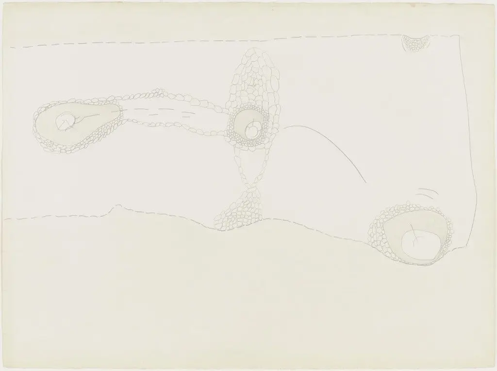 Newfoundland Drawing by Ree Morton