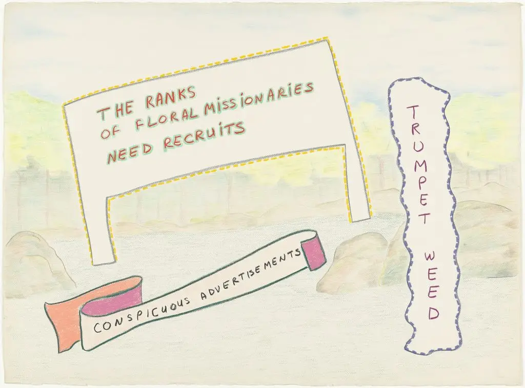 Trumpet Weed by Ree Morton