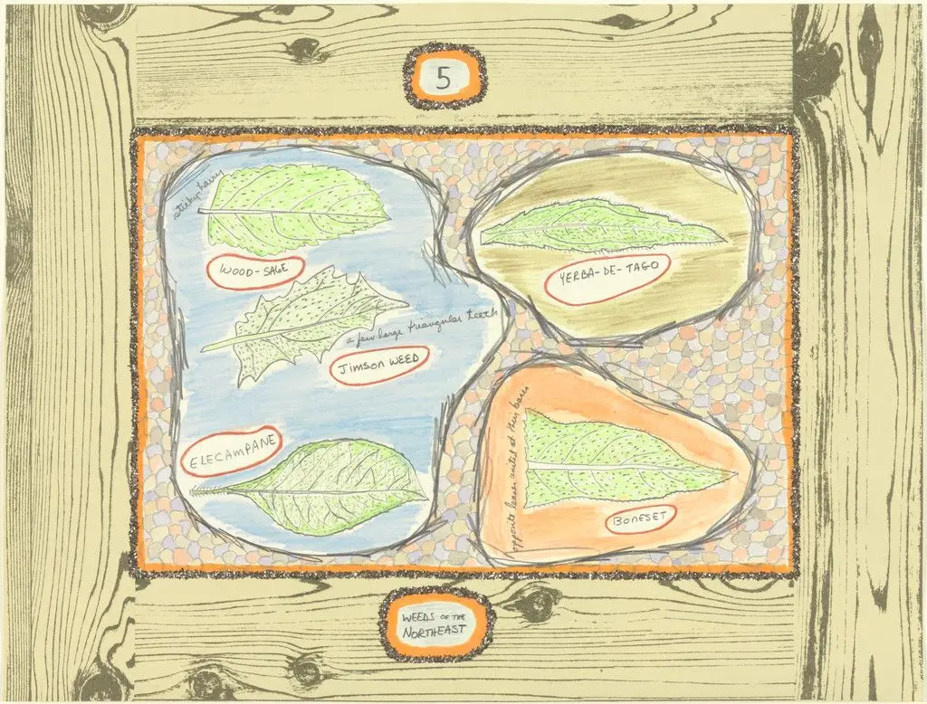 Weeds of the Northeast #5 by Ree Morton