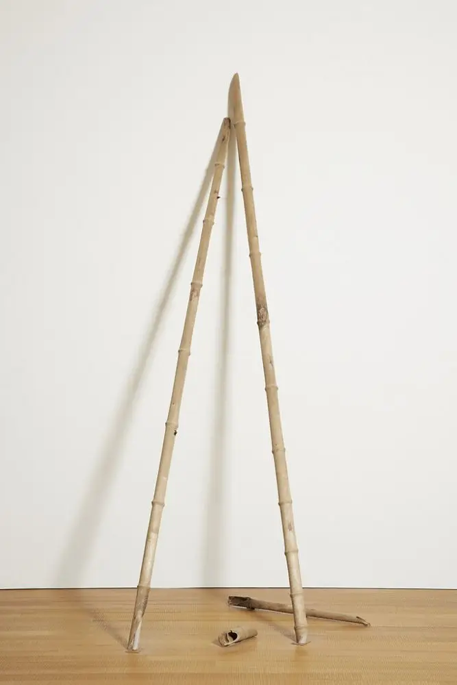 A Stick of Bamboo by Hu Qingyan