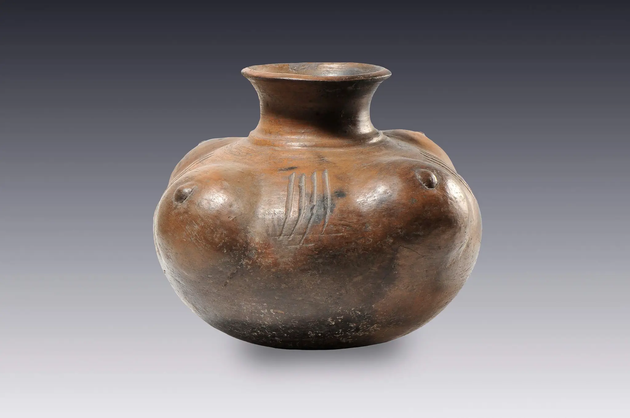 Cantaro mamiforme by Desconocida