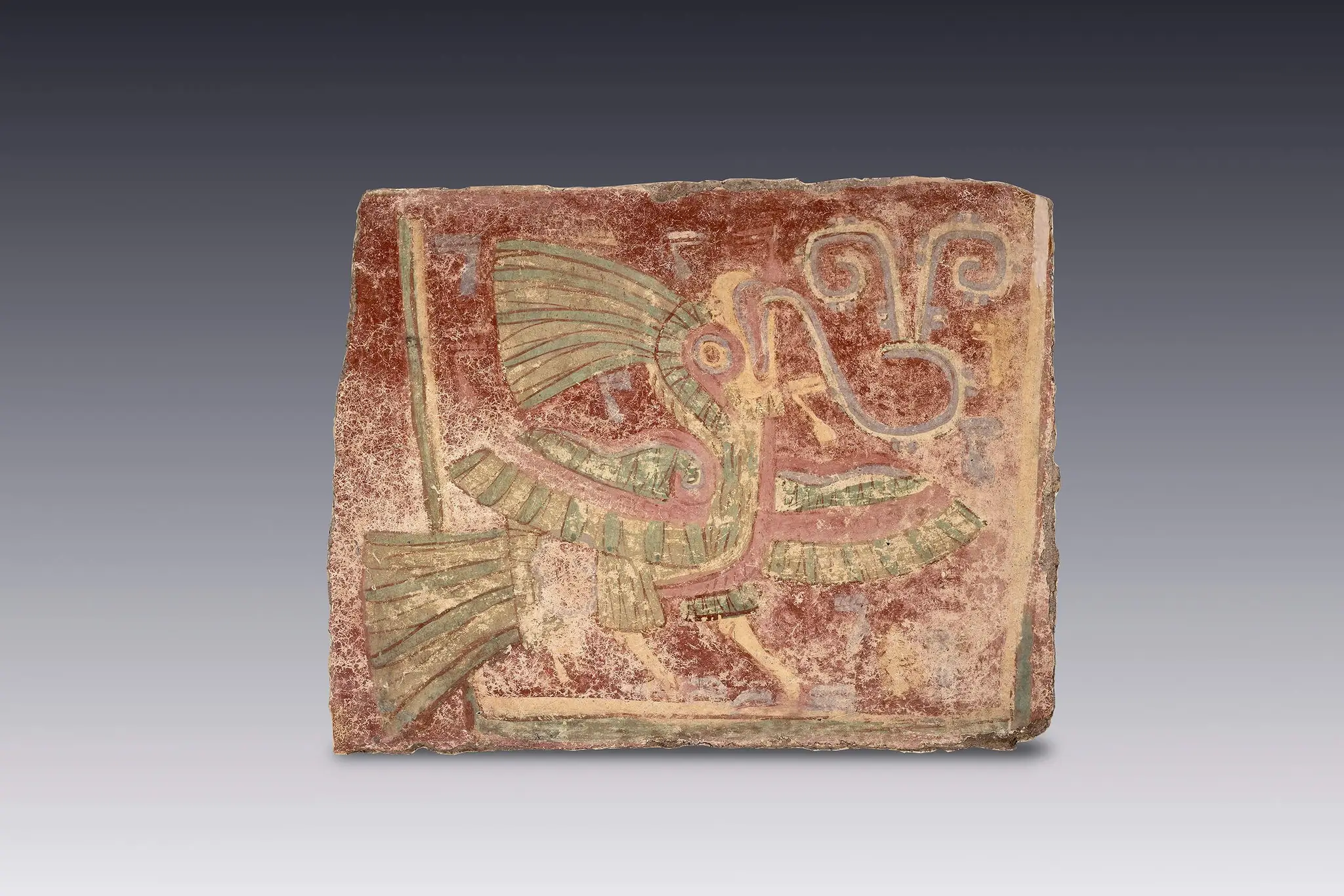Quetzal con virgula de canto, fragmento de pintura mural by Teotihuacana