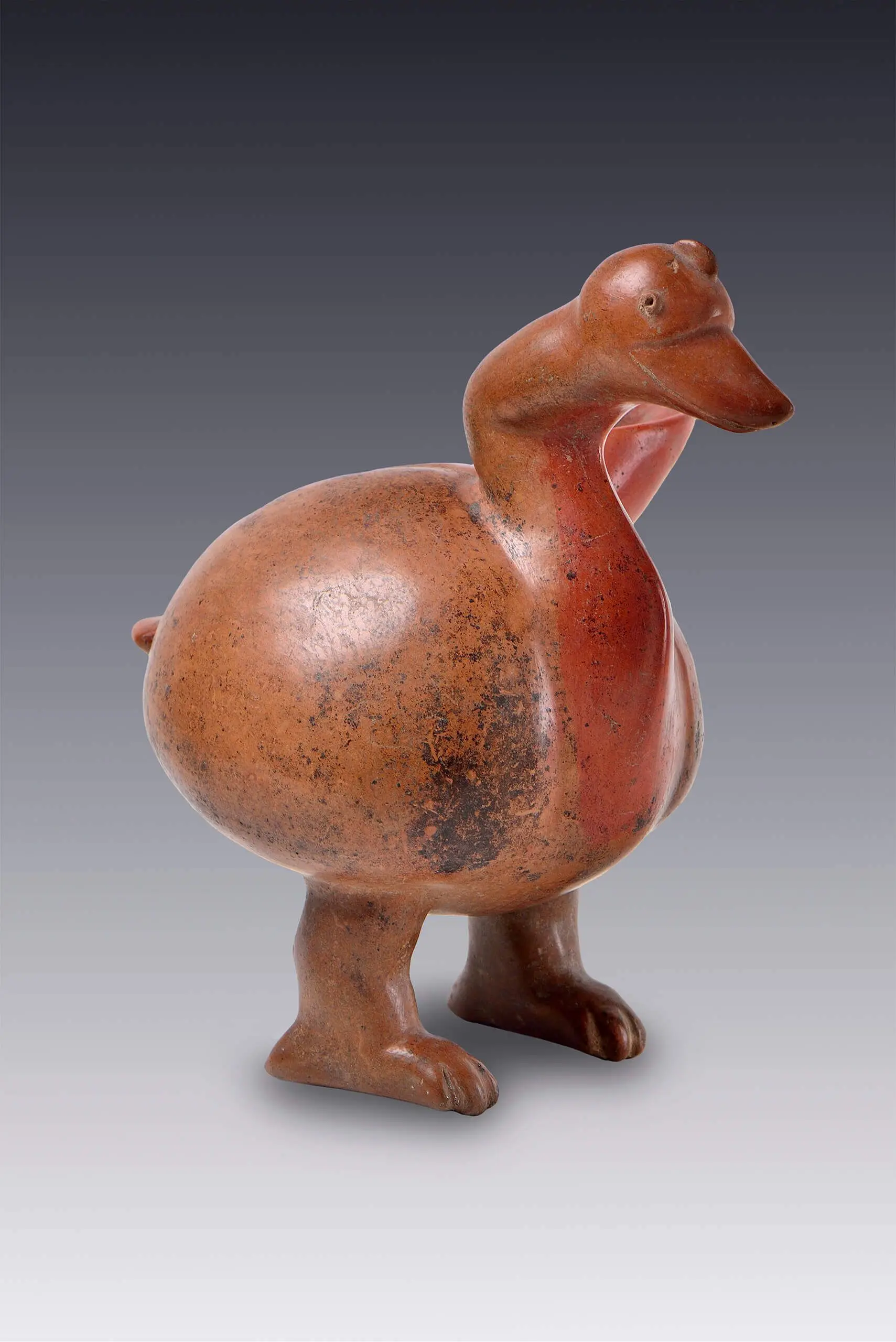 Vasija con forma de pato by Tumbas de tiro