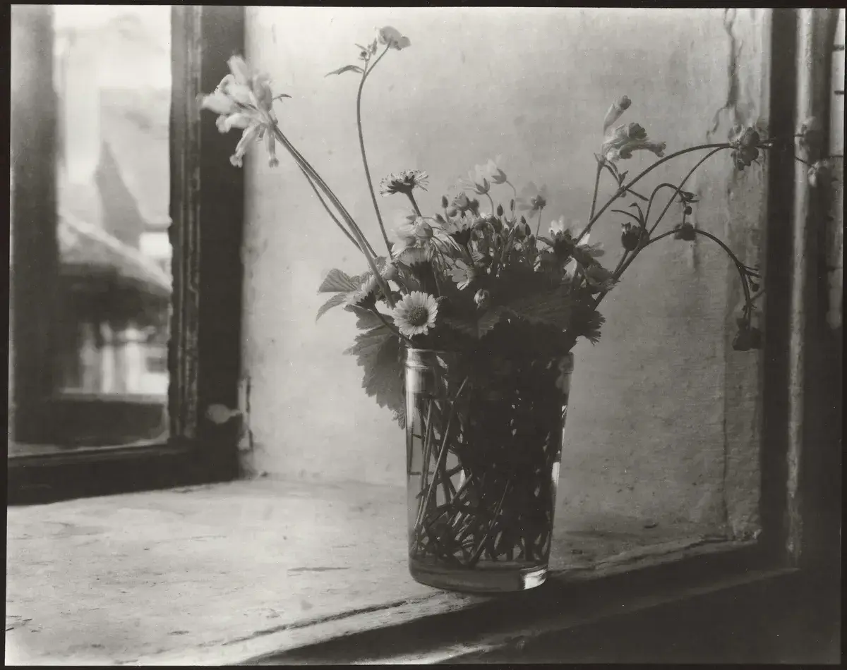 Bunch of Meadow Flowers [Fotografi] by Sudek, Josef