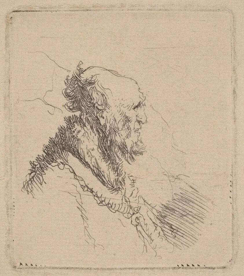 Bald Old Man with a Short Beard in Profile by Rembrandt van Rijn