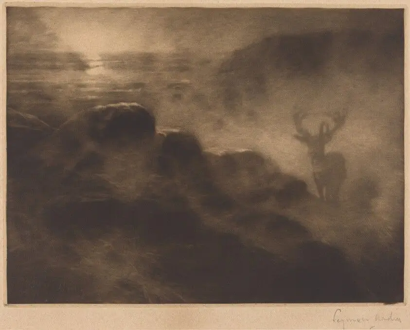 An Early Riser by Haden, Francis Seymour