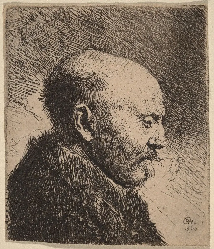 A Bald Man in Profile (The Artist's Father?) by Rembrandt van Rijn