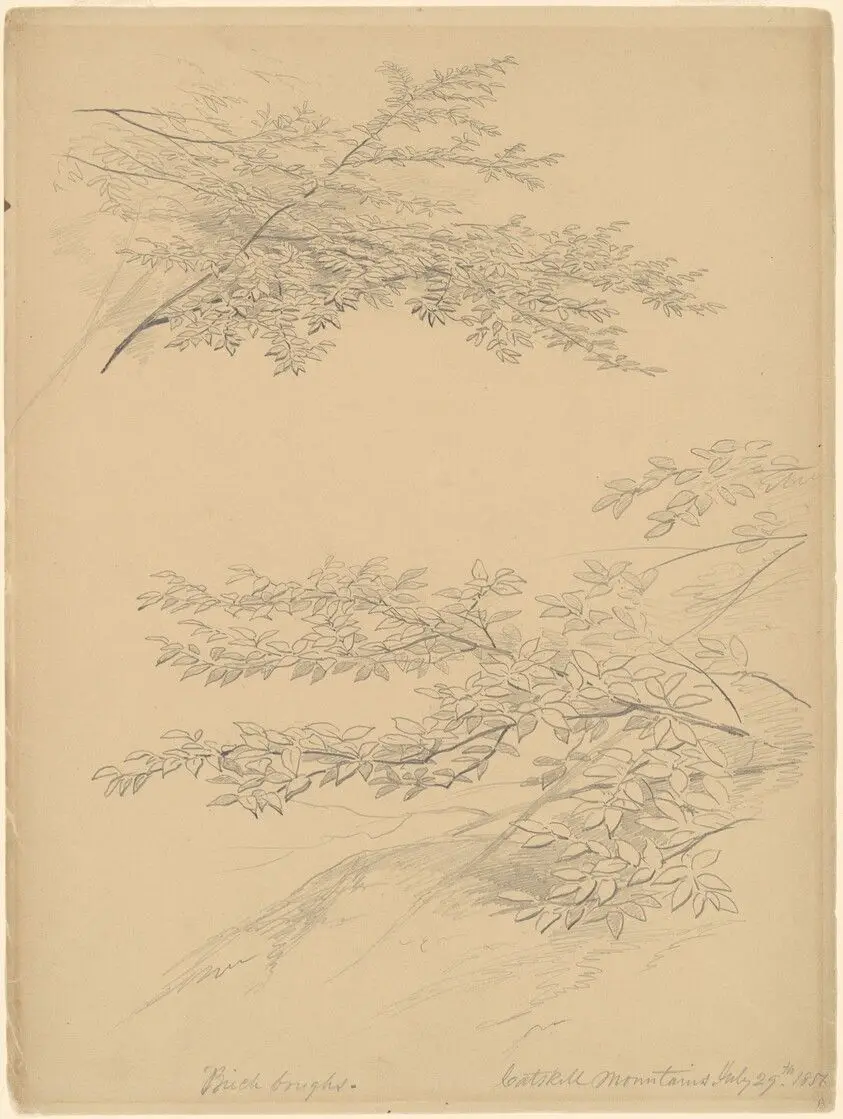 Birch Boughs, Catskill Mountains by Casilear, John William